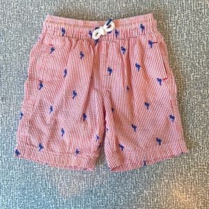 2T boys swim trunks